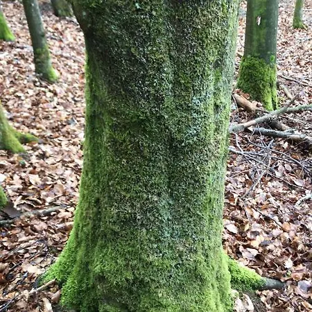 Ξενοδοχείο Sonne Hohenstadt (Goppingen)